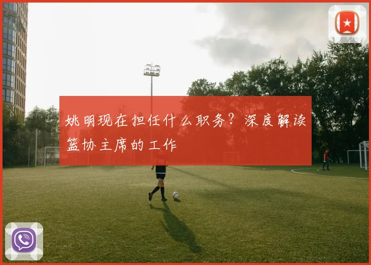 姚明现在担任什么职务？深度解读篮协主席的工作