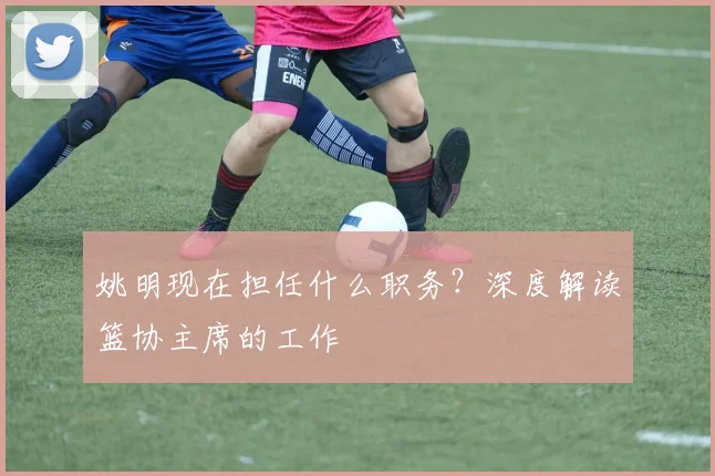 姚明现在担任什么职务？深度解读篮协主席的工作