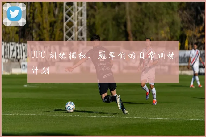 UFC 训练揭秘：冠军们的日常训练计划