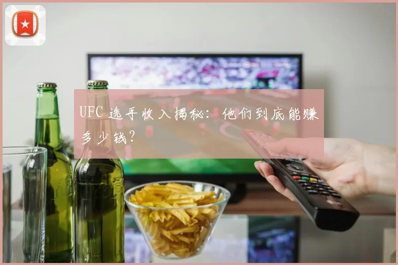 UFC 选手收入揭秘：他们到底能赚多少钱？