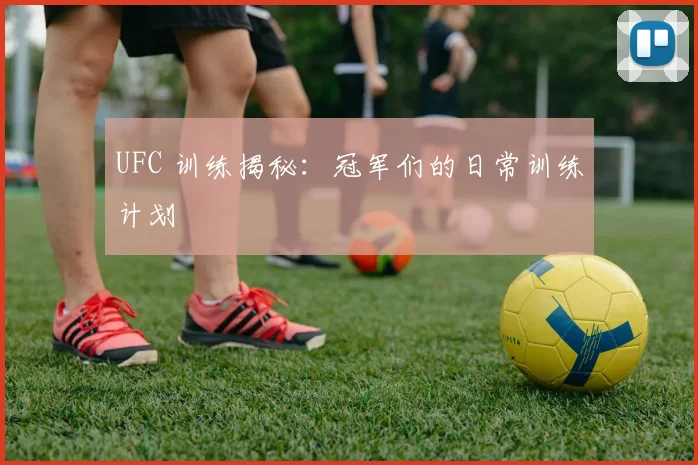 UFC 训练揭秘:冠军们的日常训练计划