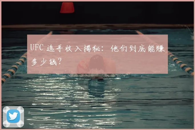 UFC 选手收入揭秘:他们到底能赚多少钱?